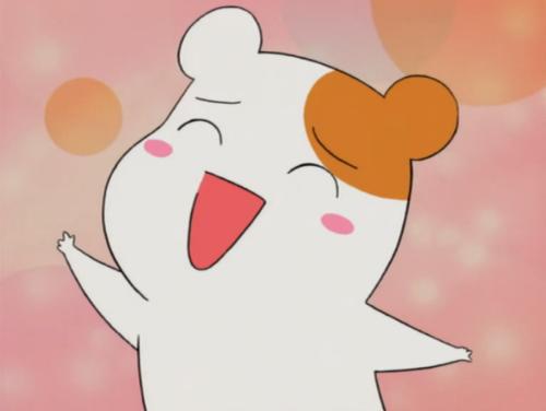 1529747720508795.jpg 1.jpg